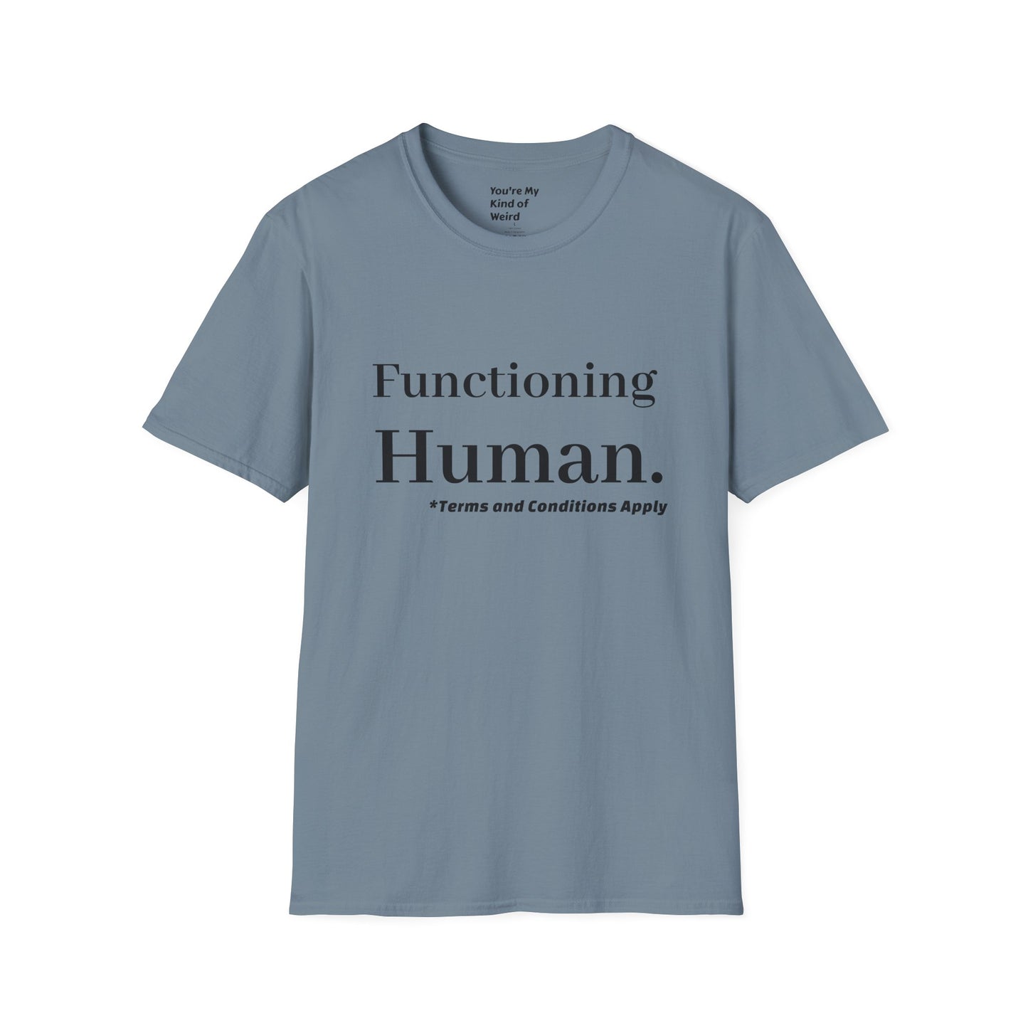 Funny Sarcastic Unisex Tee – Functioning Human, Terms and Conditions Apply Shirt Black Text