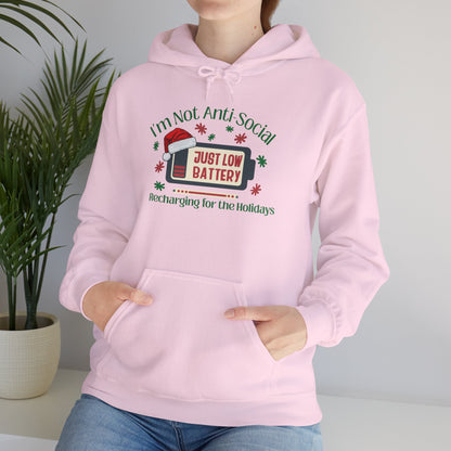 Low Social Battery Anti - Social Hoodie, Cozy Sweatshirt for Introverts - You're My Kind of Weird