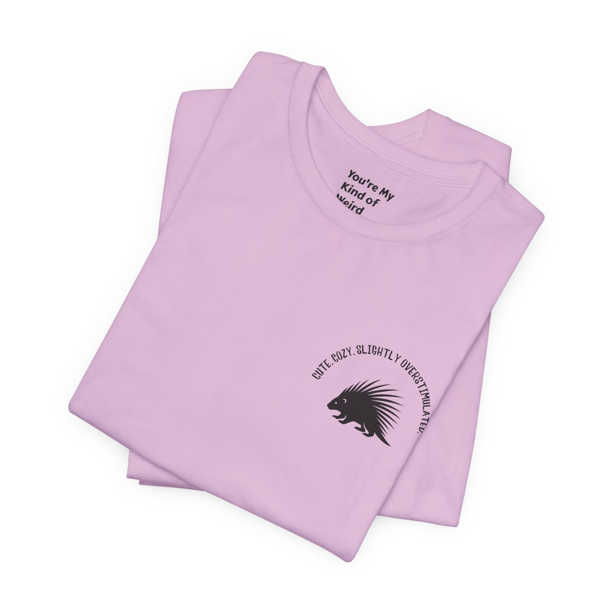 Cute Cozy Slightly Overstimulated Porcupine Shirt - You're My Kind of Weird
