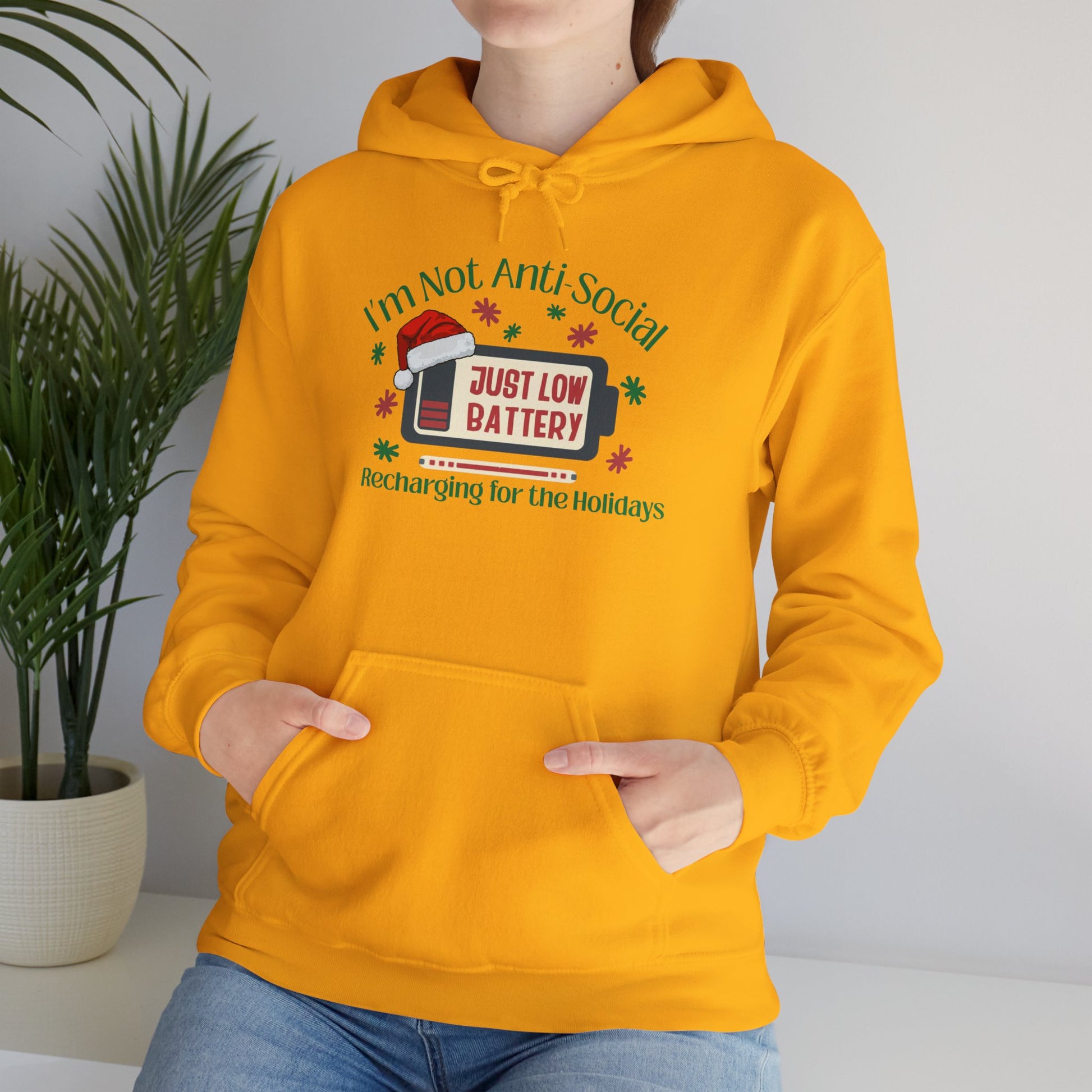 Low Social Battery Anti - Social Hoodie, Cozy Sweatshirt for Introverts - You're My Kind of Weird