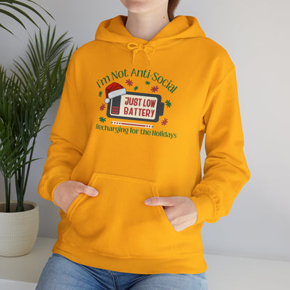 Low Social Battery Anti - Social Hoodie, Cozy Sweatshirt for Introverts - You're My Kind of Weird