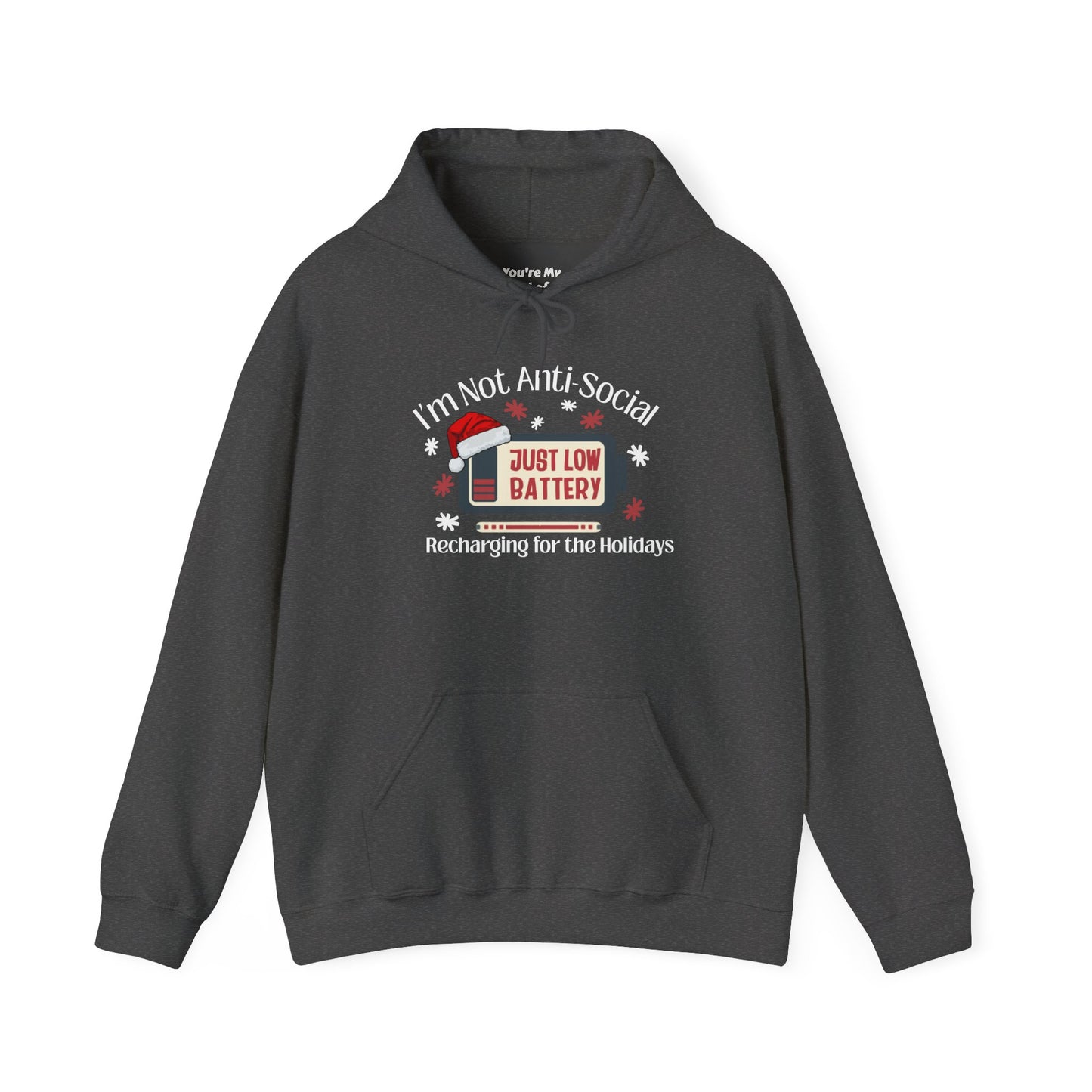 Low Social Battery Anti - Social Hoodie, Cozy Sweatshirt for Introverts - You're My Kind of Weird