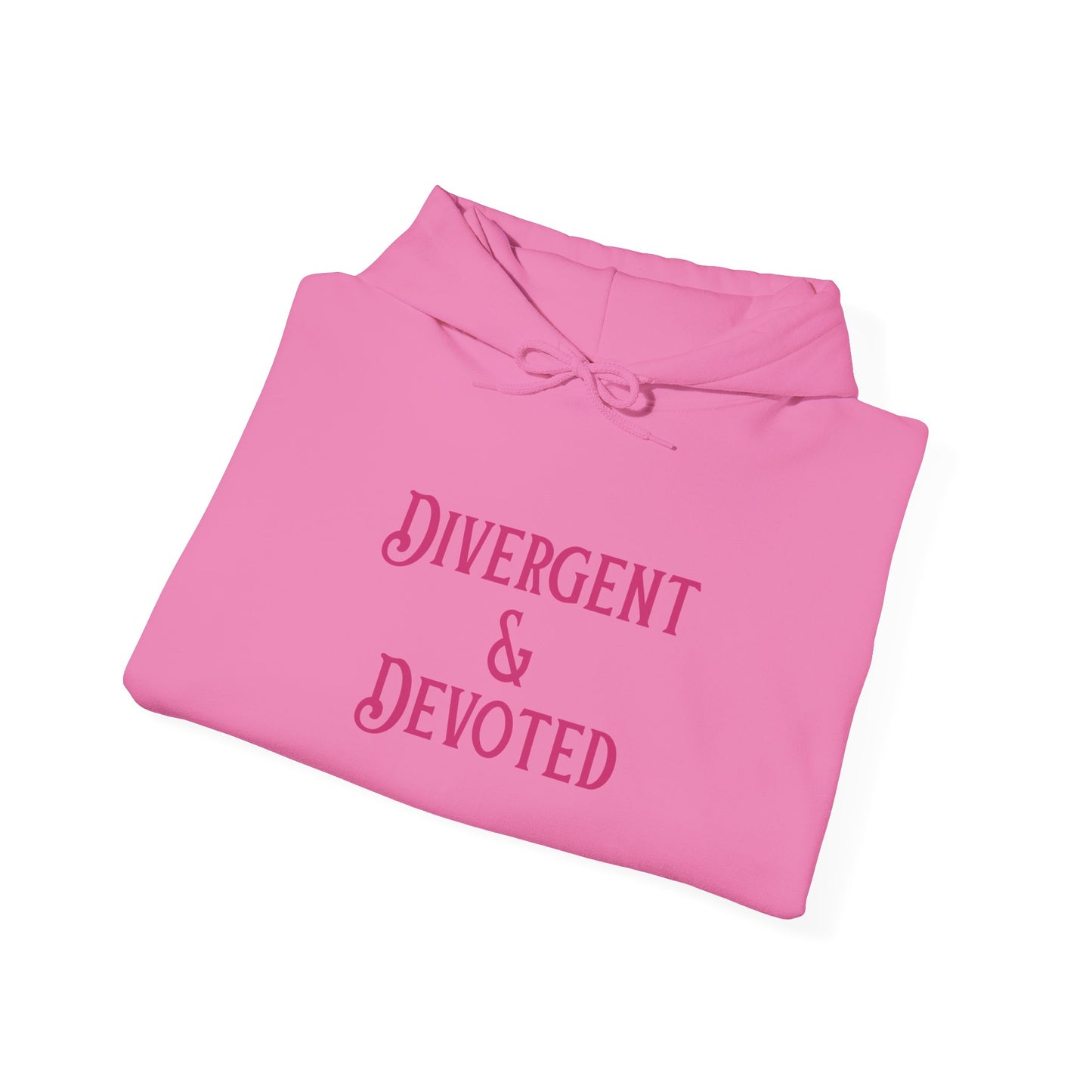 Divergent & Devoted Hoodie - You're My Kind of Weird