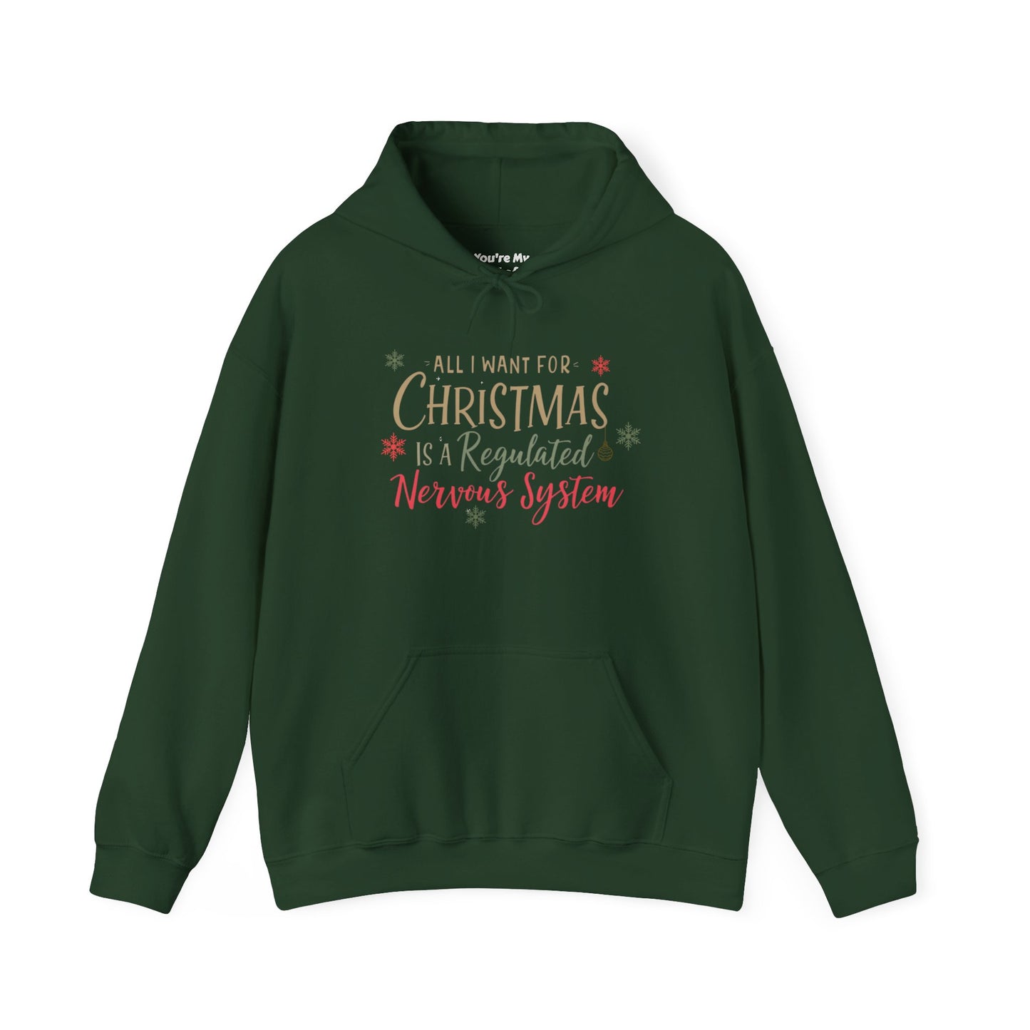 All I Want for Christmas Is a Regulated Nervous System Hoodie | Cozy Holiday Sweatshirt - You're My Kind of Weird