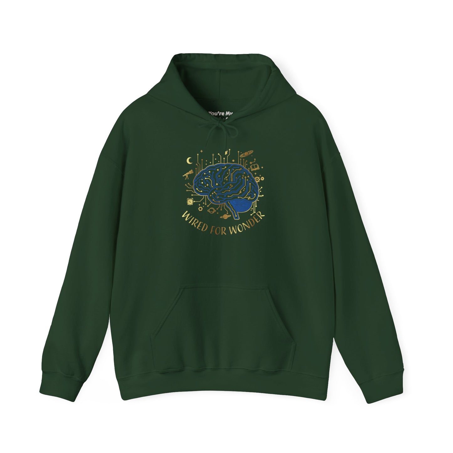 Wired for Wonder Hoodie
