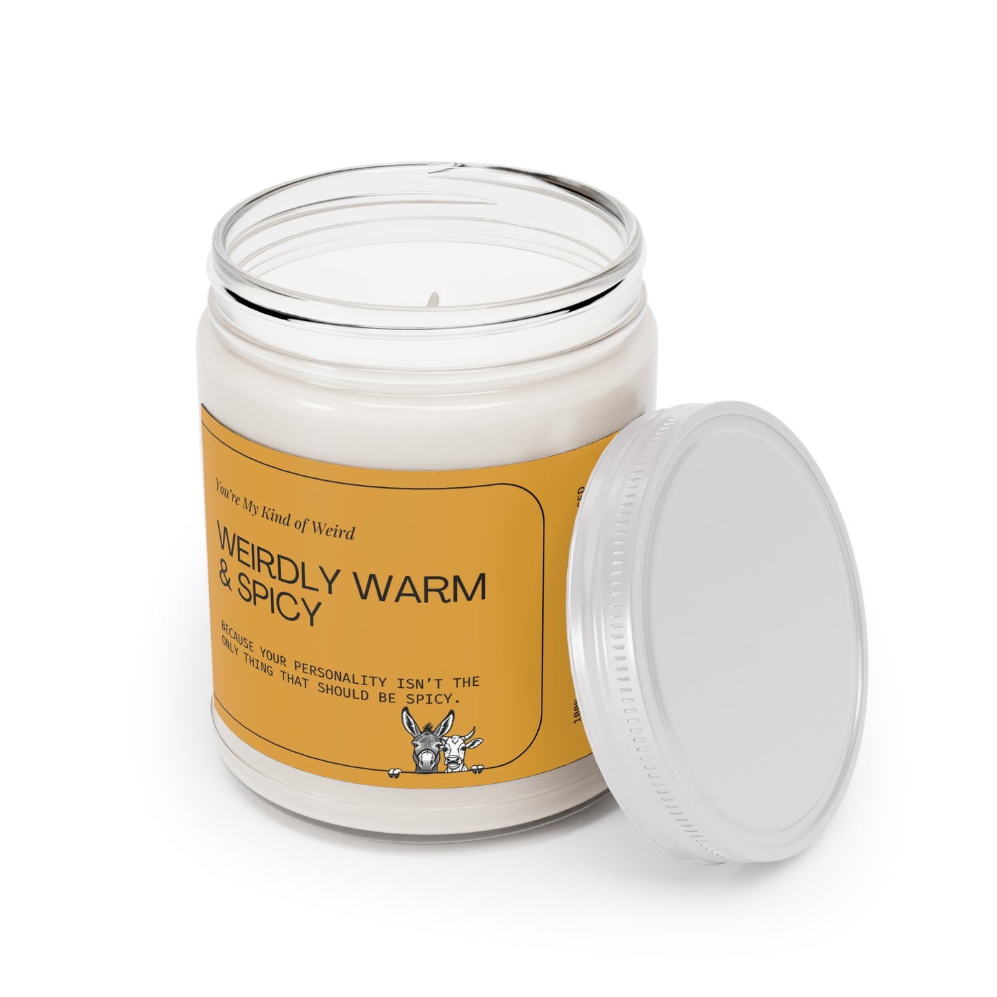 Weirdly Warm & Spicy Soy Candle - Cozy Home Decor, Unique Gift, Self-Care, Aromatherapy, Holiday Celebration