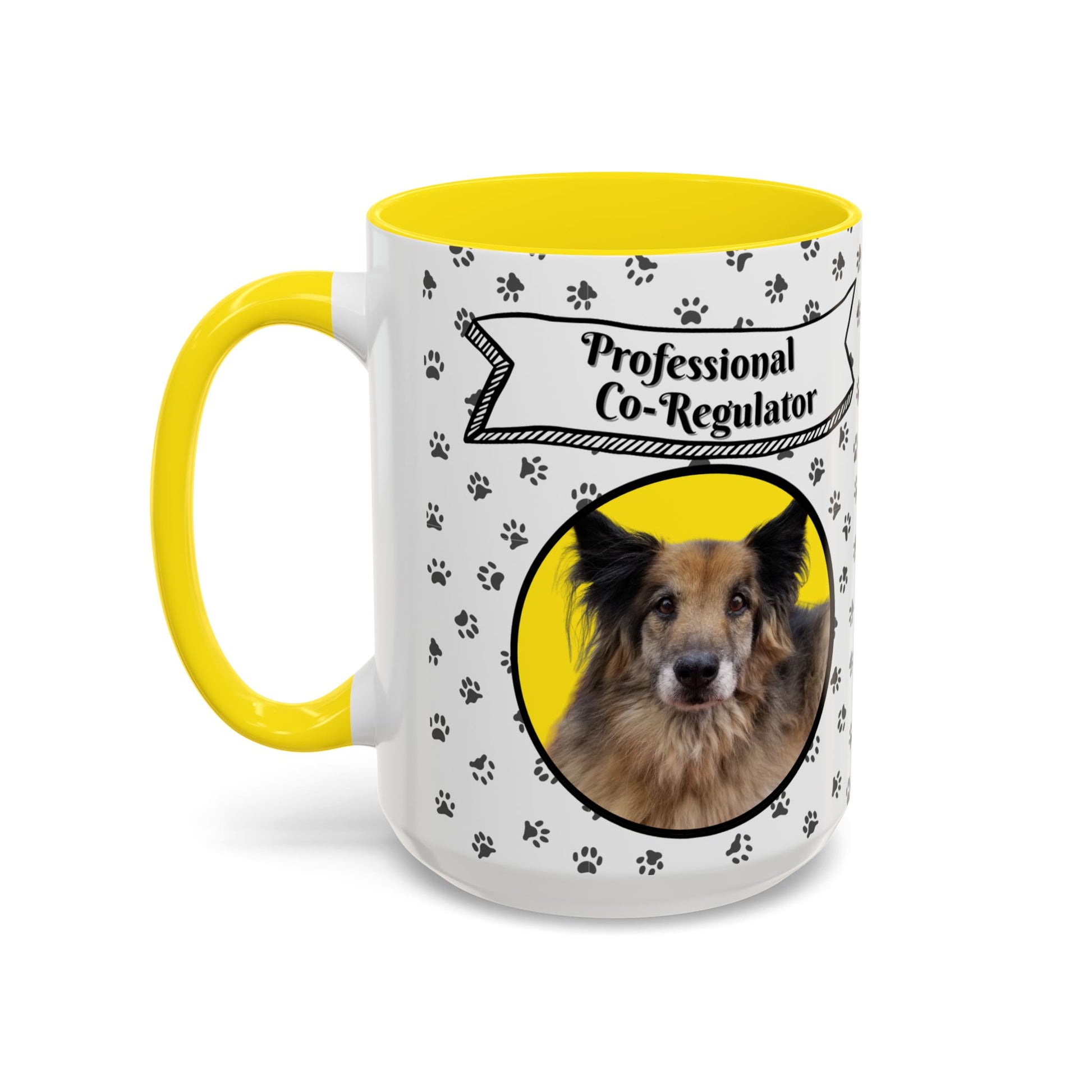 Professional Co - Regulator Custom Pet Mug, Personalized Dog or Cat Photo Mug - You're My Kind of Weird