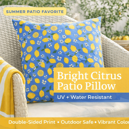 Blue Lemon Outdoor Pillow Cover | Citrus Patio Pillow - You're My Kind of Weird