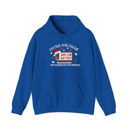 Low Social Battery Anti - Social Hoodie, Cozy Sweatshirt for Introverts - You're My Kind of Weird