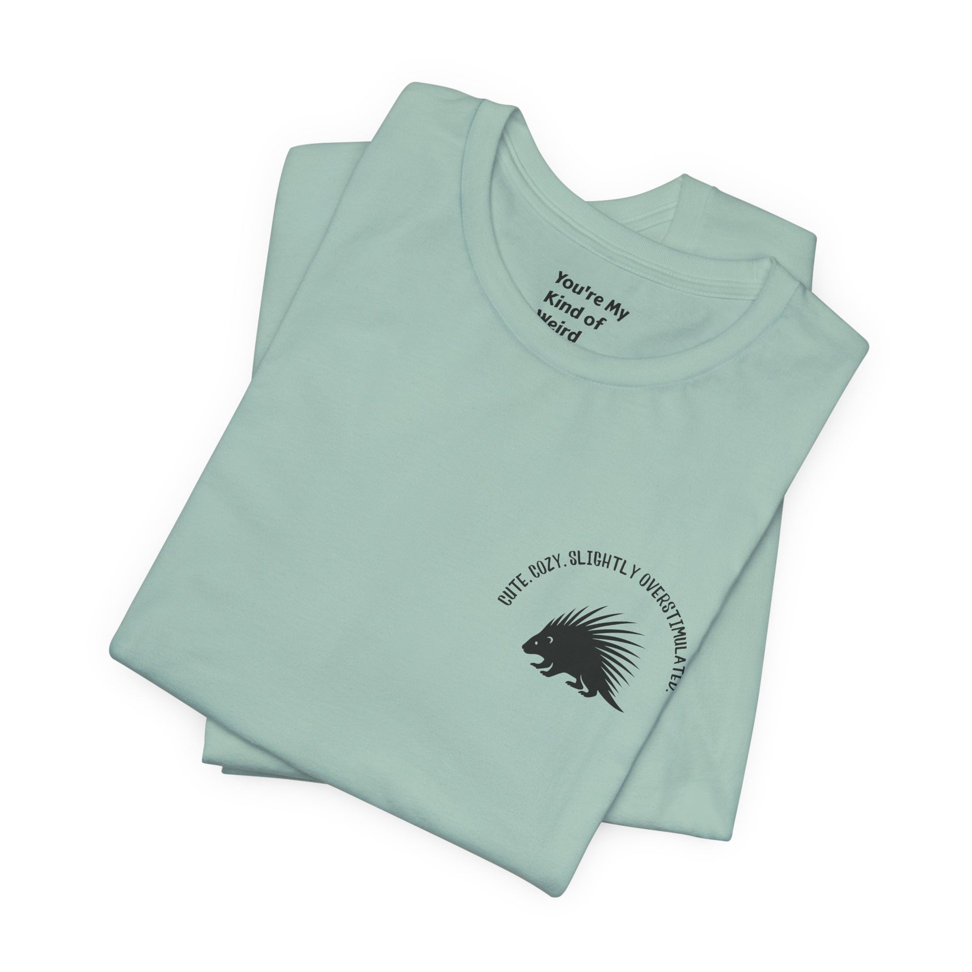 Cute Cozy Slightly Overstimulated Porcupine Shirt - You're My Kind of Weird