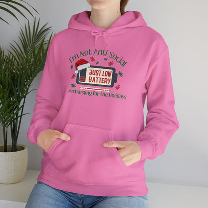 Low Social Battery Anti - Social Hoodie, Cozy Sweatshirt for Introverts - You're My Kind of Weird