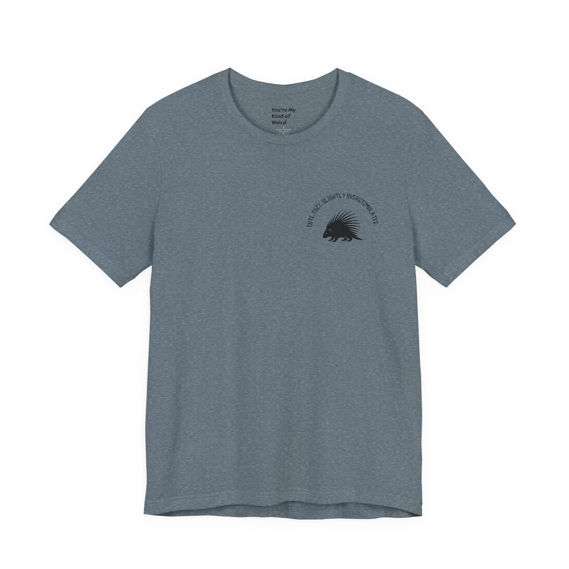 Cute Cozy Slightly Overstimulated Porcupine Shirt - You're My Kind of Weird