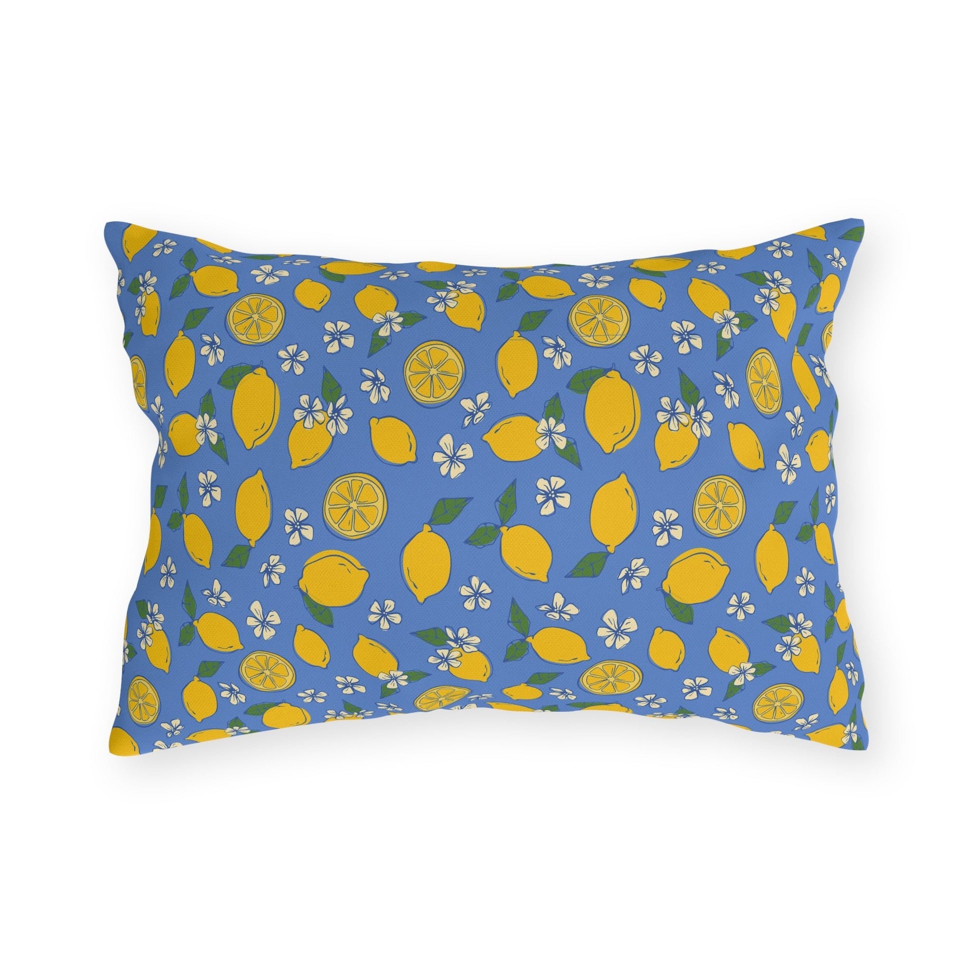 Blue Lemon Outdoor Pillow Cover | Citrus Patio Pillow - You're My Kind of Weird